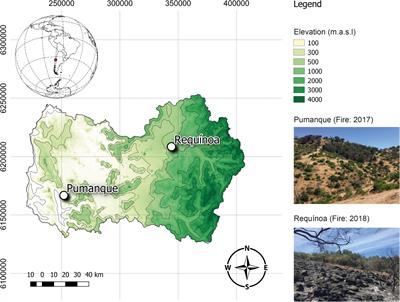 Microbial Community-Level Physiological Profiles and Genetic Prokaryotic Structure of Burned Soils Under Mediterranean Sclerophyll Forests in Central Chile